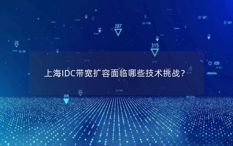 上海IDC带宽扩容面临哪些技术挑战？