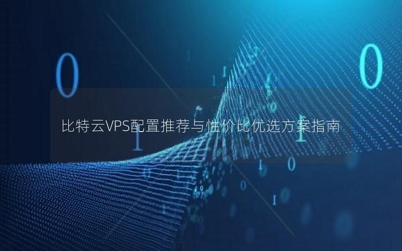 比特云VPS配置推荐与性价比优选方案指南