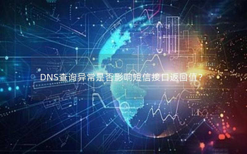 DNS查询异常是否影响短信接口返回值？