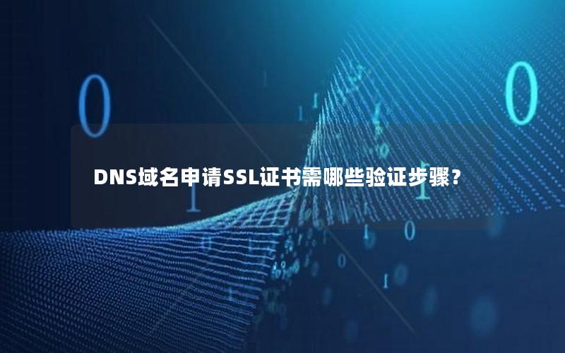 DNS域名申请SSL证书需哪些验证步骤？