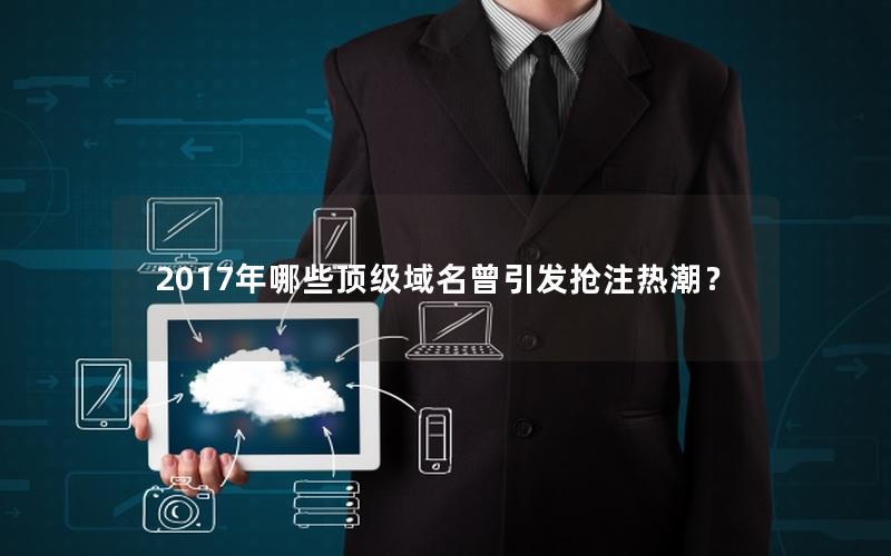 2017年哪些顶级域名曾引发抢注热潮？