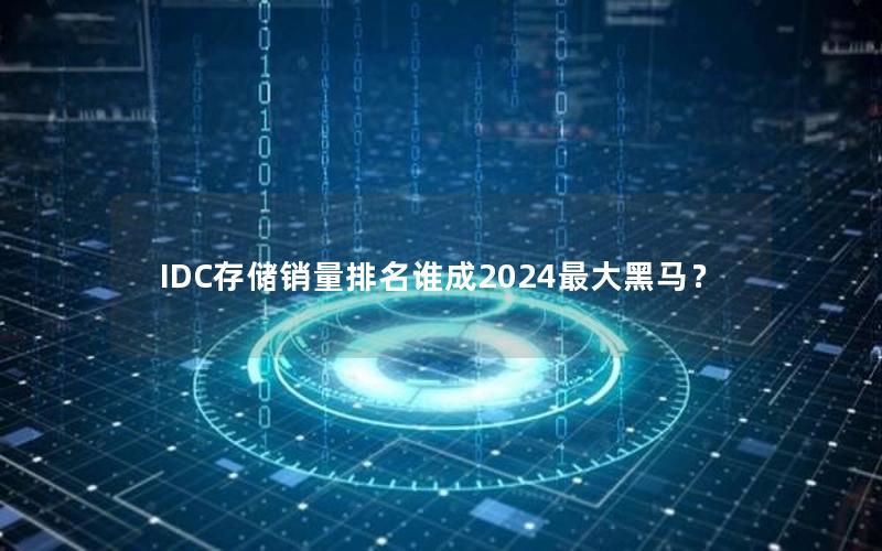 IDC存储销量排名谁成2024最大黑马？