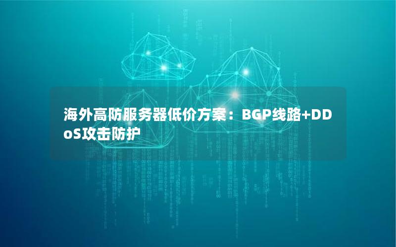 海外高防服务器低价方案：BGP线路+DDoS攻击防护