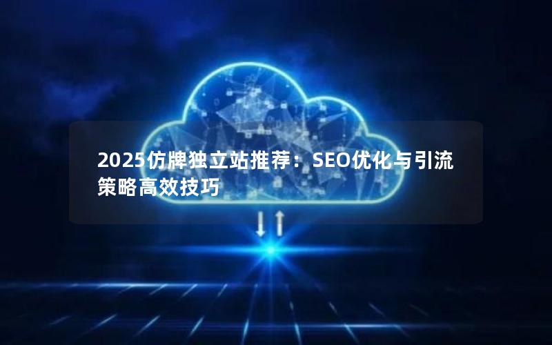 2025仿牌独立站推荐：SEO优化与引流策略高效技巧