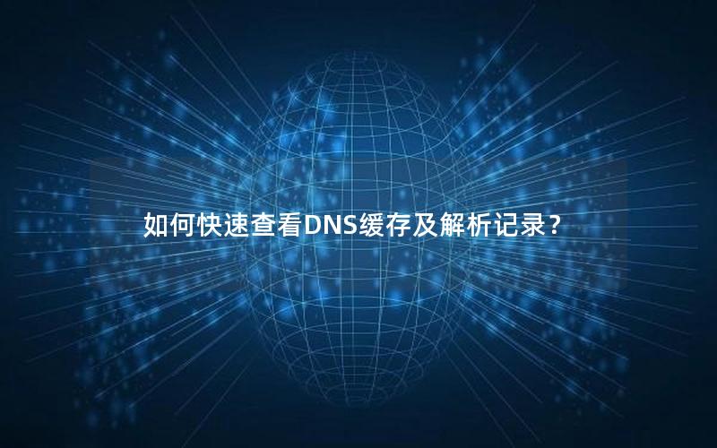 如何快速查看DNS缓存及解析记录？