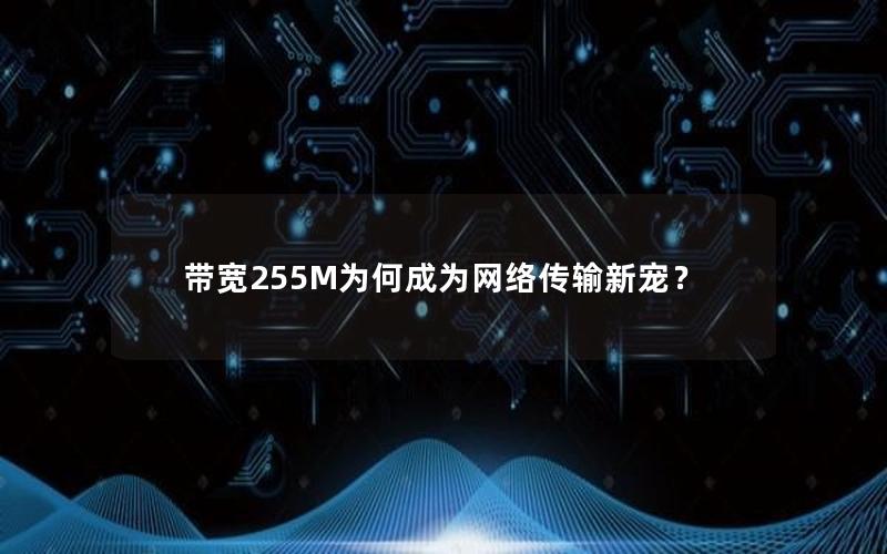 带宽255M为何成为网络传输新宠？