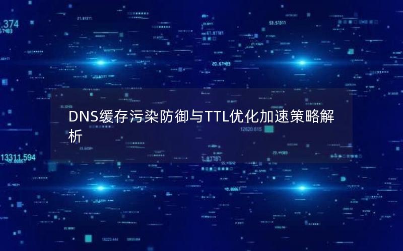 DNS缓存污染防御与TTL优化加速策略解析