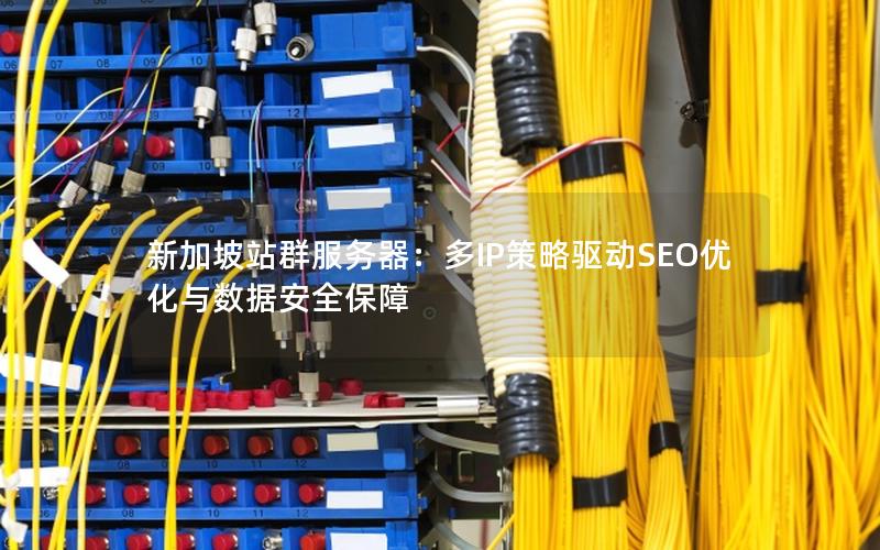 新加坡站群服务器：多IP策略驱动SEO优化与数据安全保障