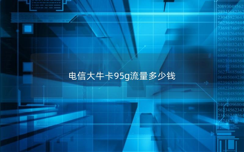 电信大牛卡95g流量多少钱