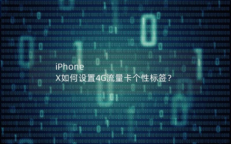 iPhone X如何设置4G流量卡个性标签？