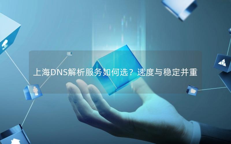 上海DNS解析服务如何选？速度与稳定并重