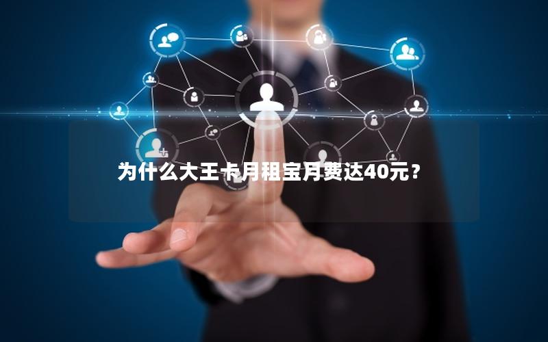 为什么大王卡月租宝月费达40元？