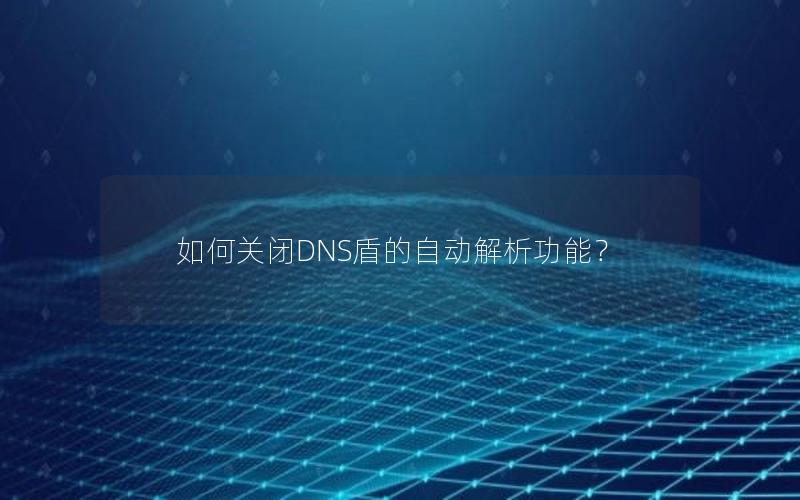 如何关闭DNS盾的自动解析功能？