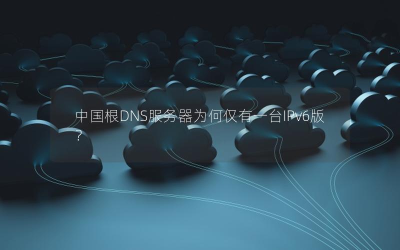 中国根DNS服务器为何仅有一台IPv6版？