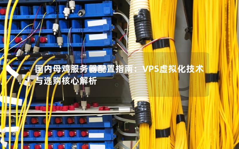 国内母鸡服务器配置指南：VPS虚拟化技术与选购核心解析