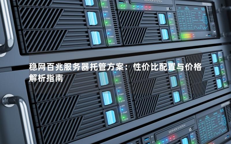 稳网百兆服务器托管方案：性价比配置与价格解析指南