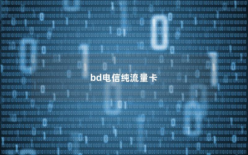 bd电信纯流量卡