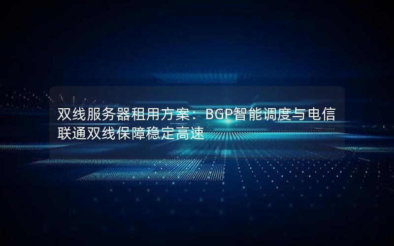 双线服务器租用方案：BGP智能调度与电信联通双线保障稳定高速