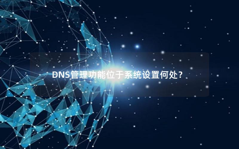 DNS管理功能位于系统设置何处？