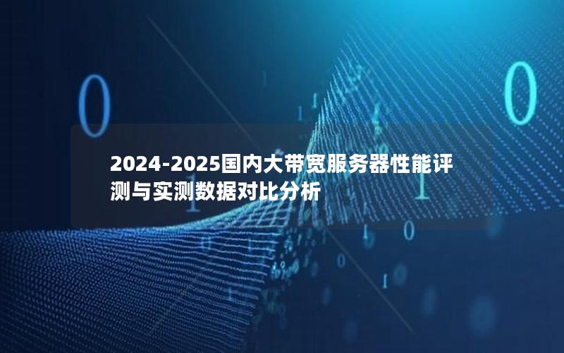 2024-2025国内大带宽服务器性能评测与实测数据对比分析