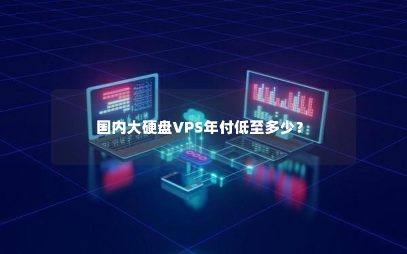 国内大硬盘VPS年付低至多少？