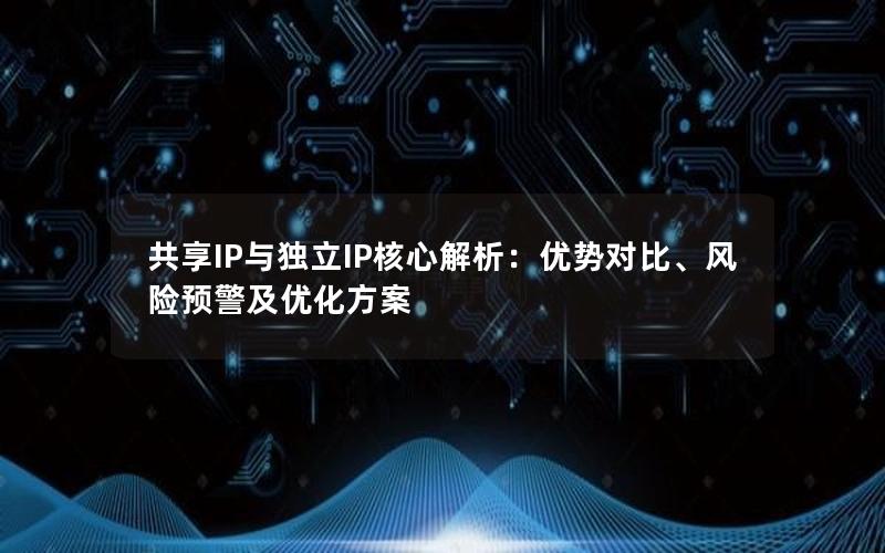 共享IP与独立IP核心解析：优势对比、风险预警及优化方案