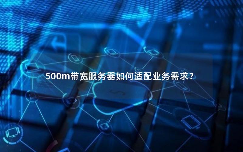 500m带宽服务器如何适配业务需求？