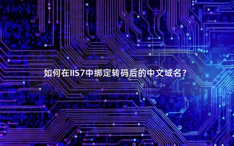 如何在IIS7中绑定转码后的中文域名？