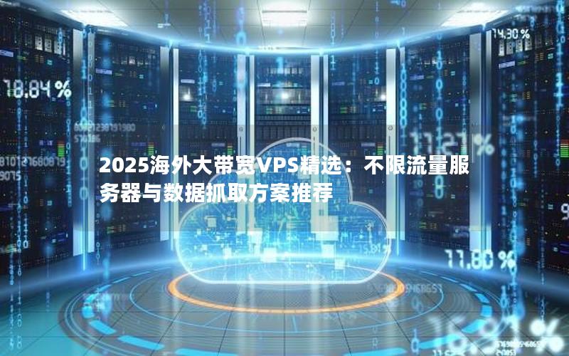 2025海外大带宽VPS精选：不限流量服务器与数据抓取方案推荐