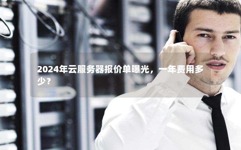 2024年云服务器报价单曝光，一年费用多少？