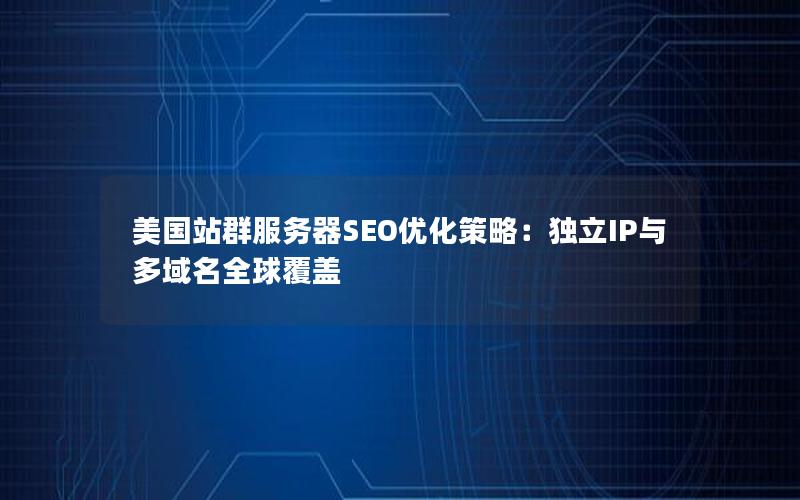 美国站群服务器SEO优化策略：独立IP与多域名全球覆盖