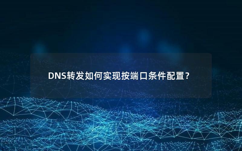 DNS转发如何实现按端口条件配置？