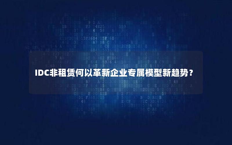 IDC非租赁何以革新企业专属模型新趋势？