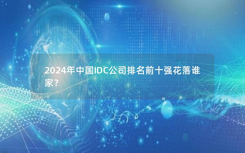 2024年中国IDC公司排名前十强花落谁家？