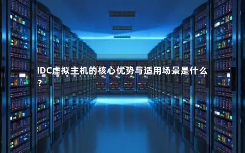 如何评估不同IDC提供商的虚拟主机稳定性？