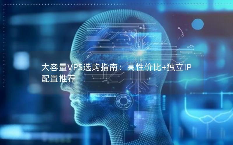 大容量VPS选购指南：高性价比+独立IP配置推荐