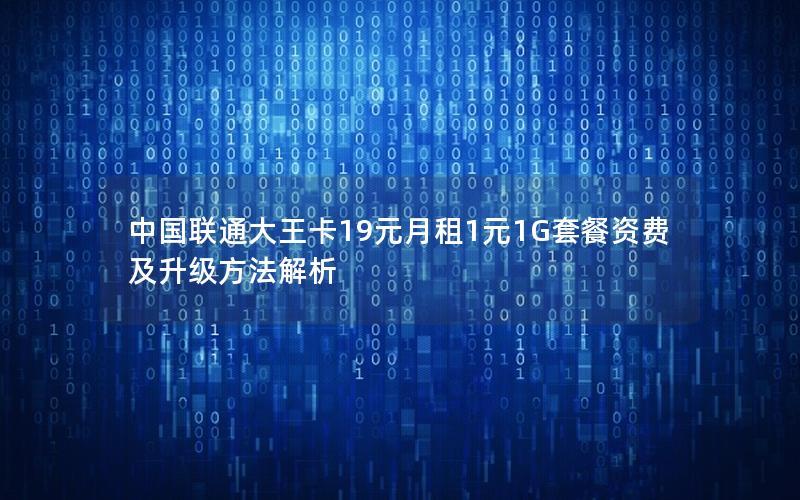 中国联通大王卡19元月租1元1G套餐资费及升级方法解析