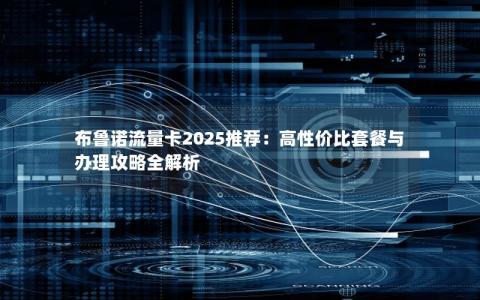布鲁诺流量卡2025推荐：高性价比套餐与办理攻略全解析