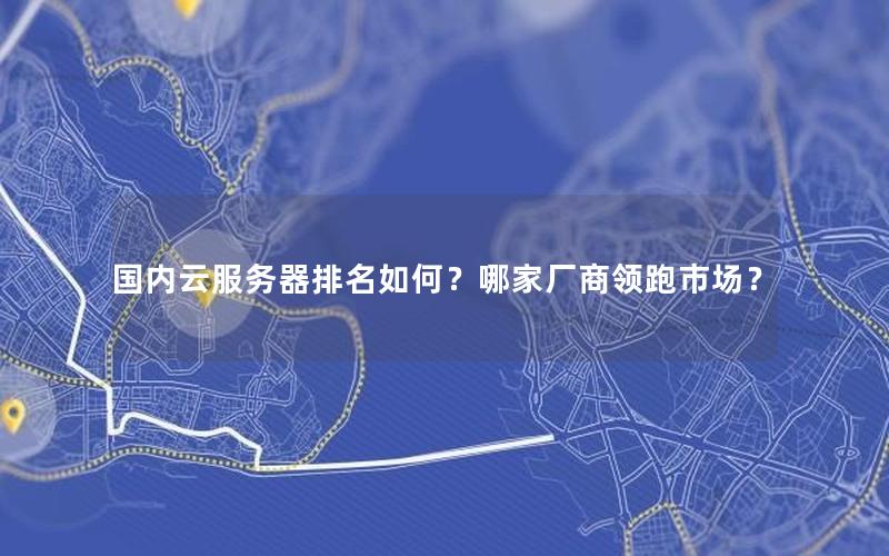 国内云服务器排名如何？哪家厂商领跑市场？