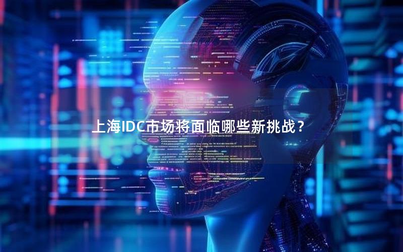 上海IDC市场将面临哪些新挑战？