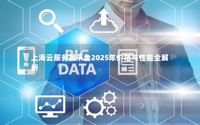 上海云服务器平台2025年价格与性能全解析