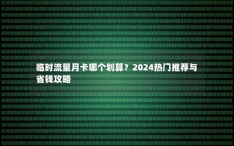 临时流量月卡哪个划算？2024热门推荐与省钱攻略