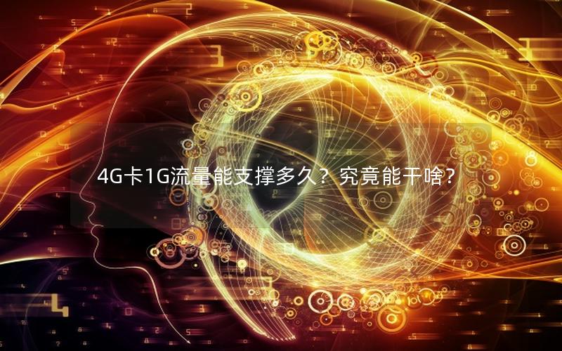 4G卡1G流量能支撑多久？究竟能干啥？