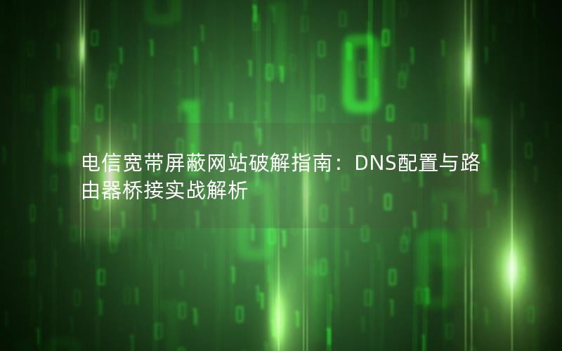 电信宽带屏蔽网站破解指南：DNS配置与路由器桥接实战解析