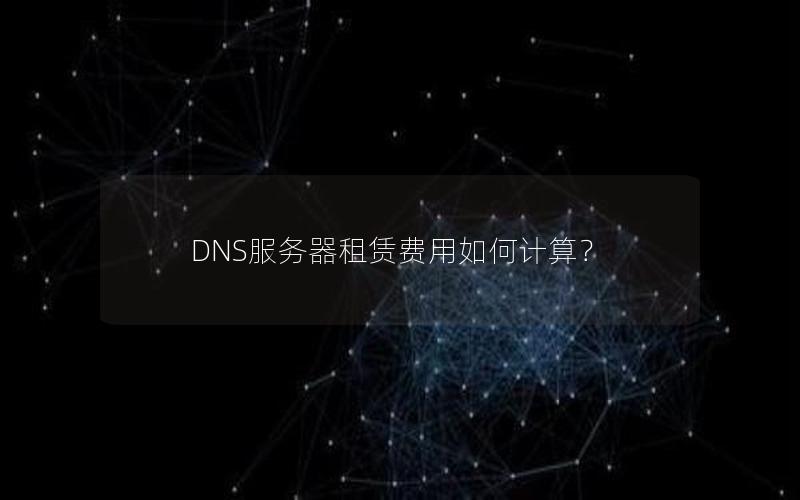 DNS服务器租赁费用如何计算？