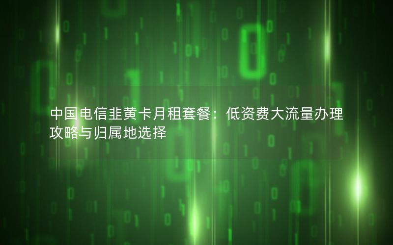 中国电信韭黄卡月租套餐：低资费大流量办理攻略与归属地选择