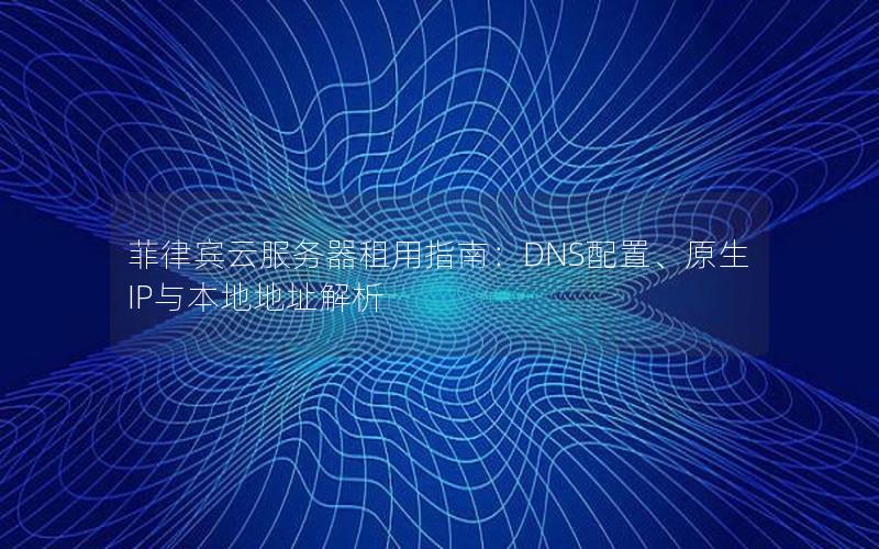 菲律宾云服务器租用指南：DNS配置、原生IP与本地地址解析