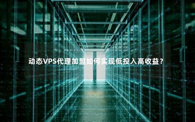 动态VPS代理加盟如何实现低投入高收益？