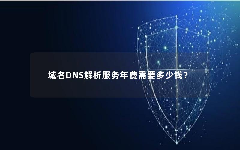 域名DNS解析服务年费需要多少钱？