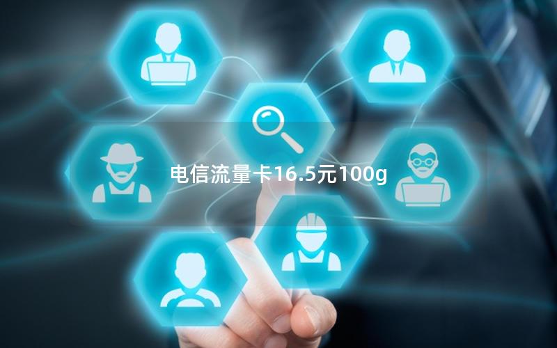 电信流量卡16.5元100g